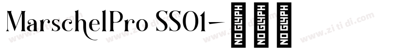 MarschelPro SS01字体转换
